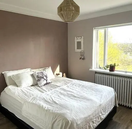 Cozy Apartment Near Downtown Reykjavik