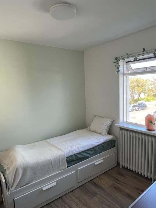 Cozy Near Downtown Appartement Reykjavik