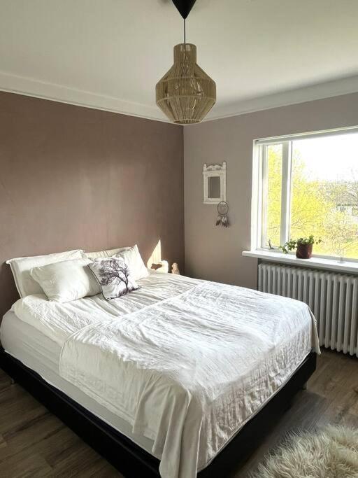 Appartement Cozy Near Downtown Reykjavik